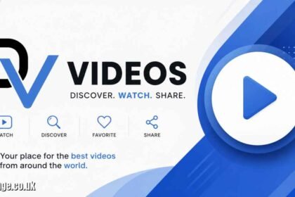 DVIDEOS: The Ultimate Guide to Digital Video Domination