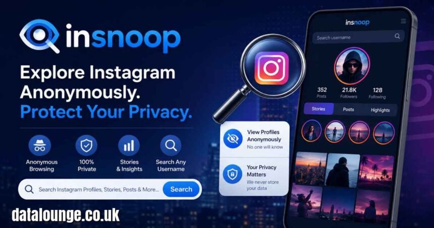 Insnoop: Everything You Need to Know About the Fast-Growing Digital Platform